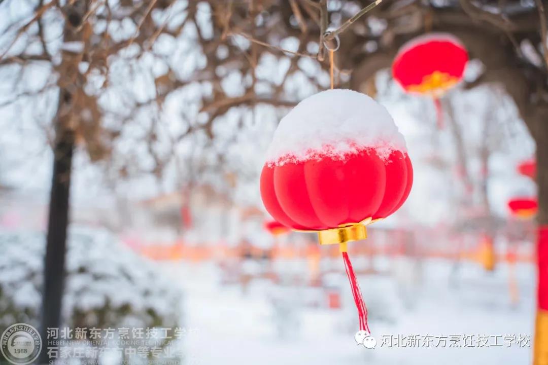 | | 如果，能在這里和你同游看場雪
