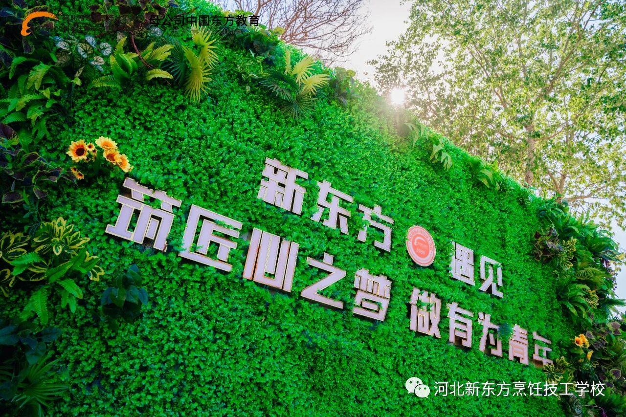 今日立春，萬物復(fù)蘇丨河北新東方2026春季招生現(xiàn)已啟動(dòng)，趁春光，播種你的未來
